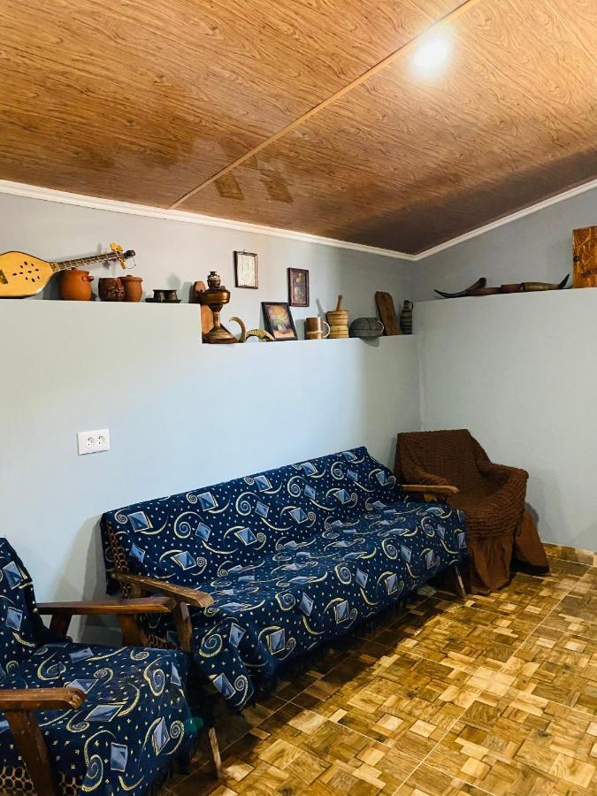 Mamuka'S Guesthouse Udabno Eksteriør billede